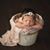 Kathleen McCulloch Davenport's profile image