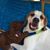 Donna Giampa's profile image
