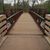 Linda LaMotta Pellis's profile image