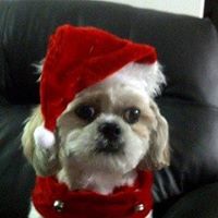 Lynda Ketchabaw's profile image
