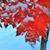 Valerie Welker's profile image