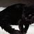 Princess Robertson's profile image