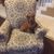 Patty Oviedo-Garcia's profile image