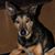 Denise Rea's profile image