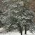 Debbie Redden Emerson's profile image