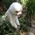 Charleen Roll Powers's profile image