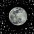 Darcel Swekel Demyanovich's profile image