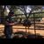 Anthony Michael Macias's profile image
