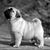 Hilton Ie's profile image