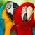 Leticia Loflin's profile image