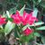 Shelley Rayburn's profile image