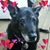 Loretta Juskiw's profile image