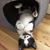 Sallie Sloier's profile image