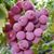 Lissette James's profile image