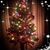 Dianne Panozzo's profile image