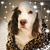 Jody Holland Ryan's profile image