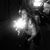 Karla LaRock's profile image