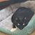 Tracey Martin's profile image