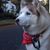 Felipe Godinez's profile image