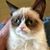 WB Breasure's profile image