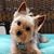 Missy Nolf's profile image