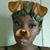 Sabrina L. Burgess's profile image