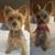 Evelyn O'Leary's profile image