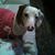 Nancy Allen's profile image