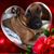 Krystyna Velardi's profile image