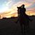 Shiloh Wester's profile image