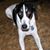 Diane Vigue's profile image