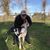 Duane Dewy Wilks's profile image