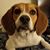 John D. Pearson's profile image