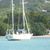 Tricia L Donaldson-Johnson's profile image