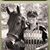 Nancy Dierken's profile image