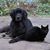 Julie Siebel's profile image