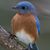 Wende Wilson's profile image