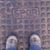 Kellie Clingan's profile image