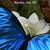 Theresa Smith-Culotta's profile image
