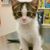 Claire McLoughlin's profile image