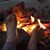 Judy Shasek's profile image