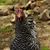Mylene Medina's profile image