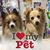 Linda A Bozzo-Stallings's profile image