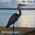 France Bertrand's profile image
