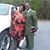 Linda Irby's profile image