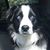 Annie Wilczak's profile image