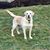 Tracy Hampton-Baughey's profile image