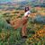 Kathleen Melvin's profile image