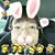 Kanako Yano's profile image