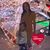 Yeins Gonzalez's profile image